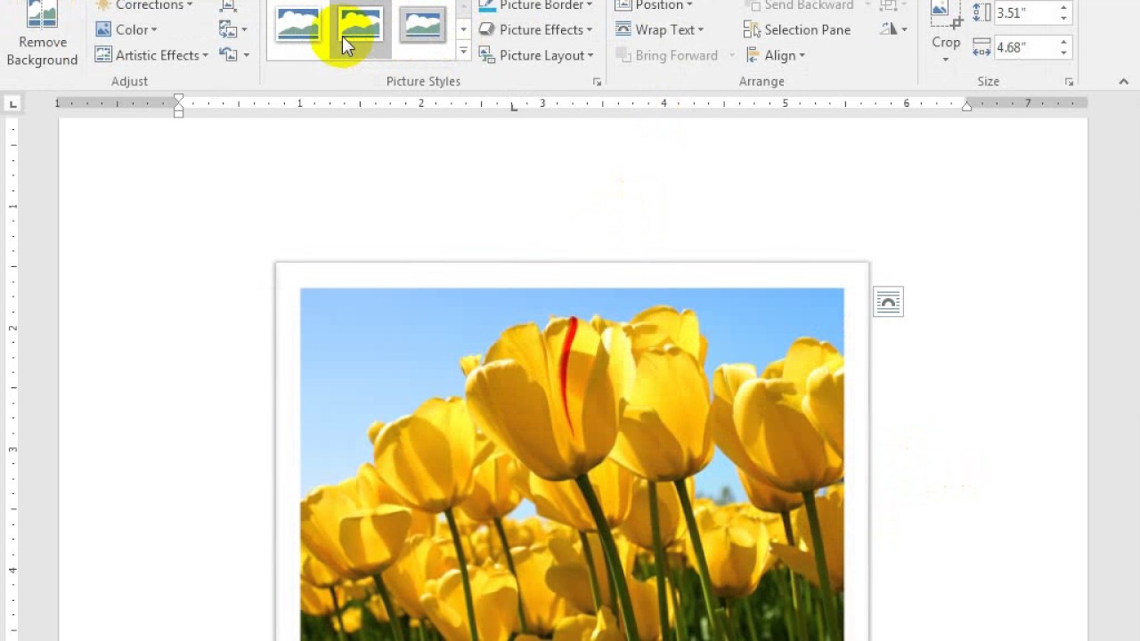 reset a picture in word