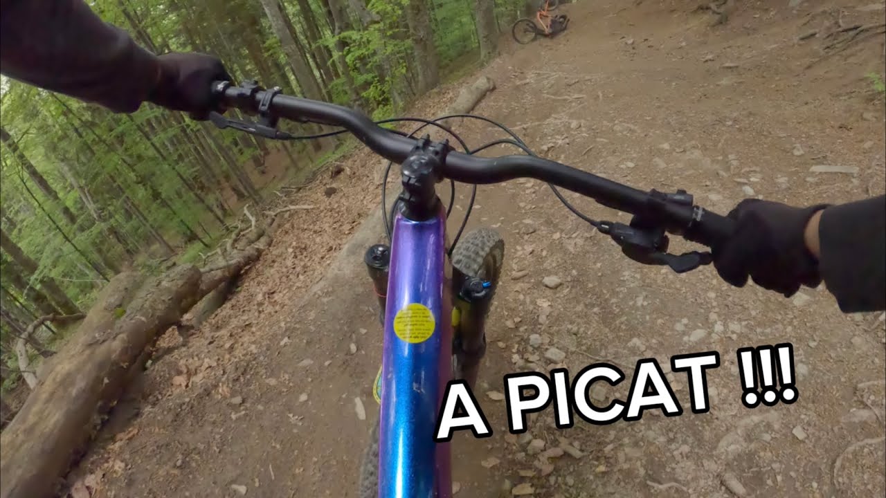 PRIMA DATA CU NOUA BICICLETA LA MUNTE!!    A PICAT PE RADACINI???