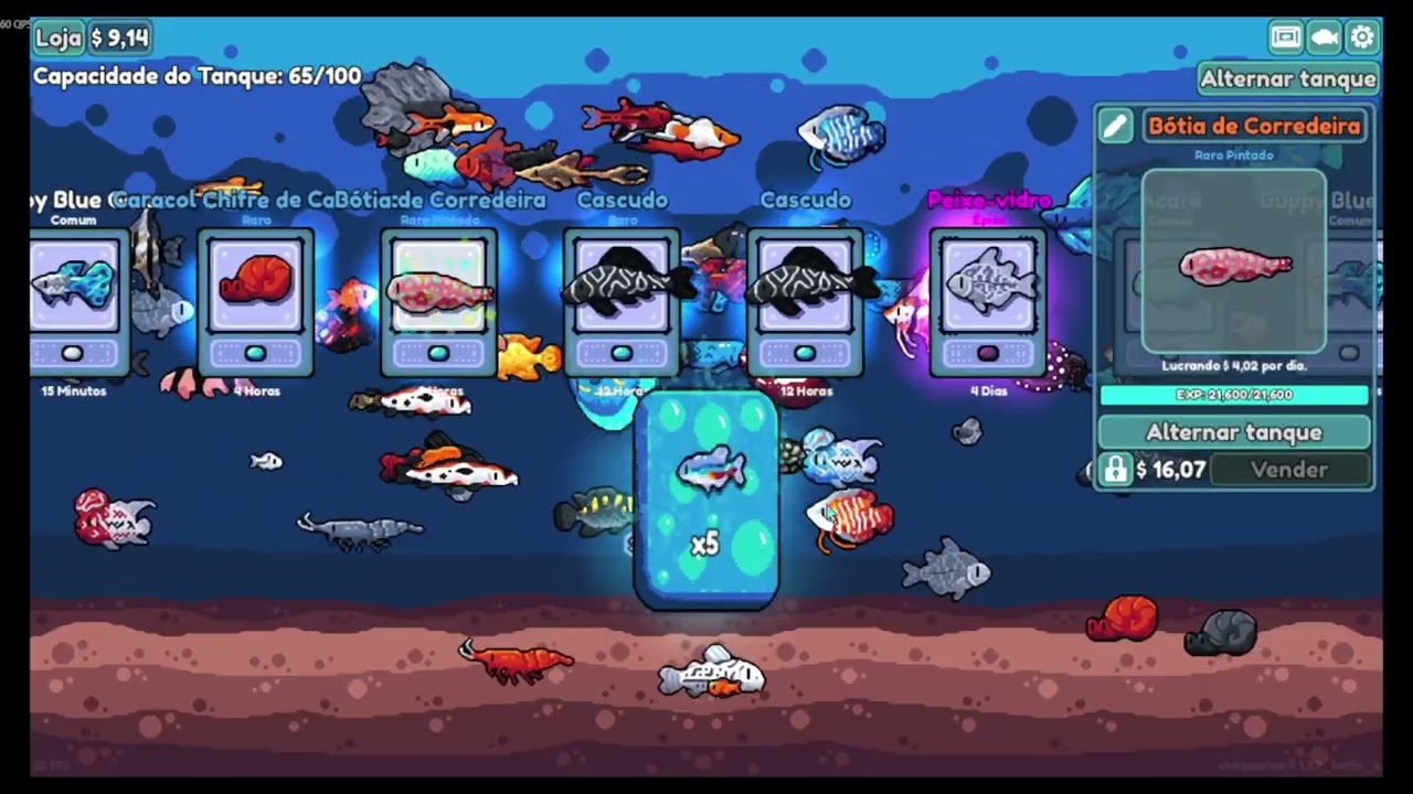 Chillquarium: Week 3 - New tank and fish!!