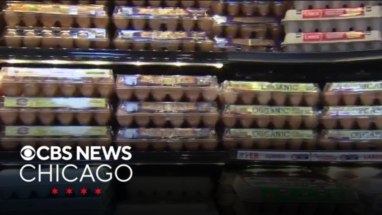 Settlement reached over allegations of egg price-fixing