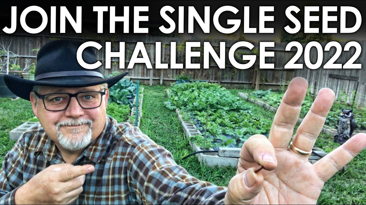JOIN ME in the Single Seed Challenge 2022! || Black Gumbo