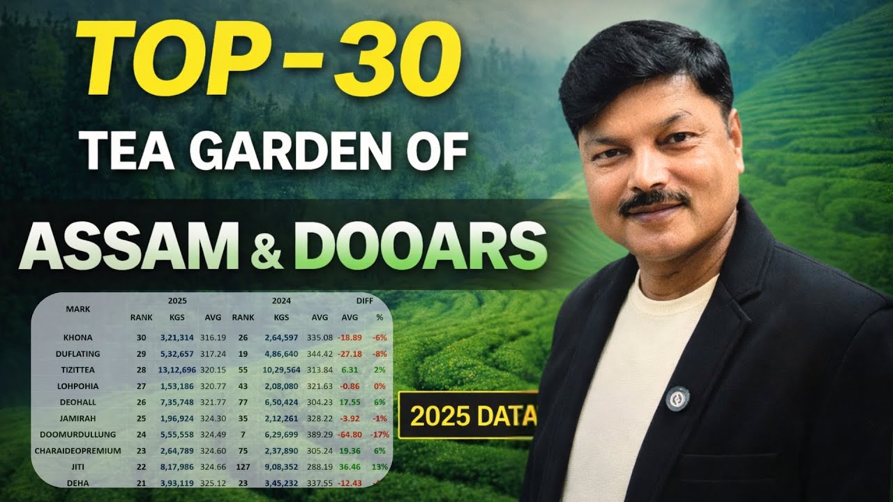 Top 30 Tea Gardens of Assam & Dooars (2025) #teabusiness #education #chaiguru