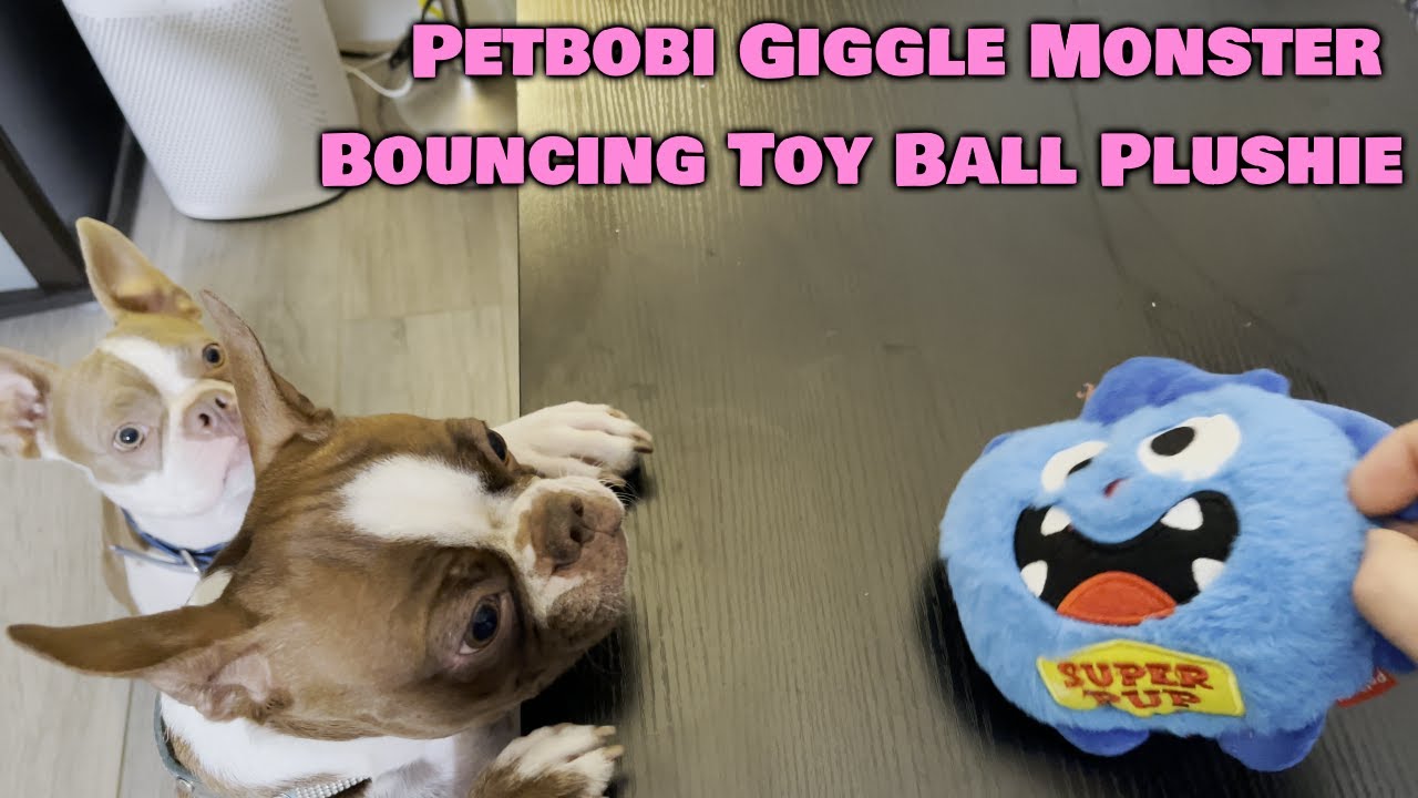 Dog Loves Petbobi Monster Giggle Ball Bouncing Ball Dog Toy