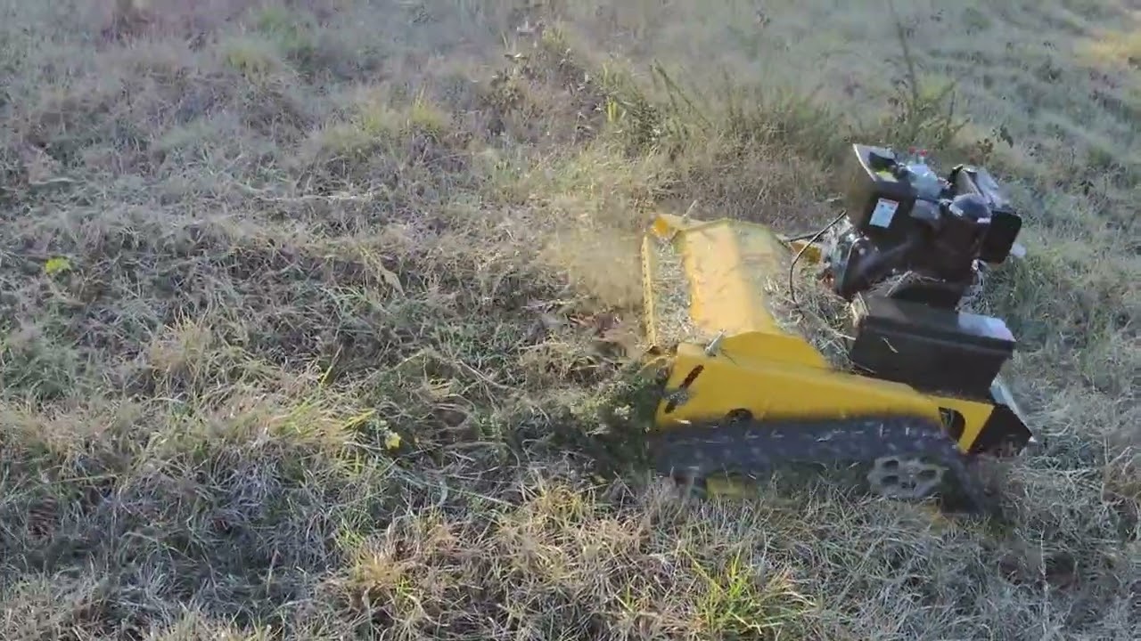 Remote Control Flail Mower removing gorse grass!