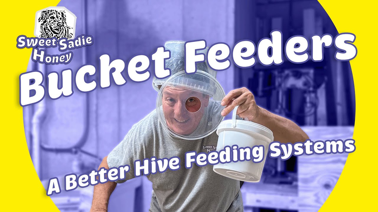 Bucket Feeders: A Better Hive Feeding Systems 🐝🍯