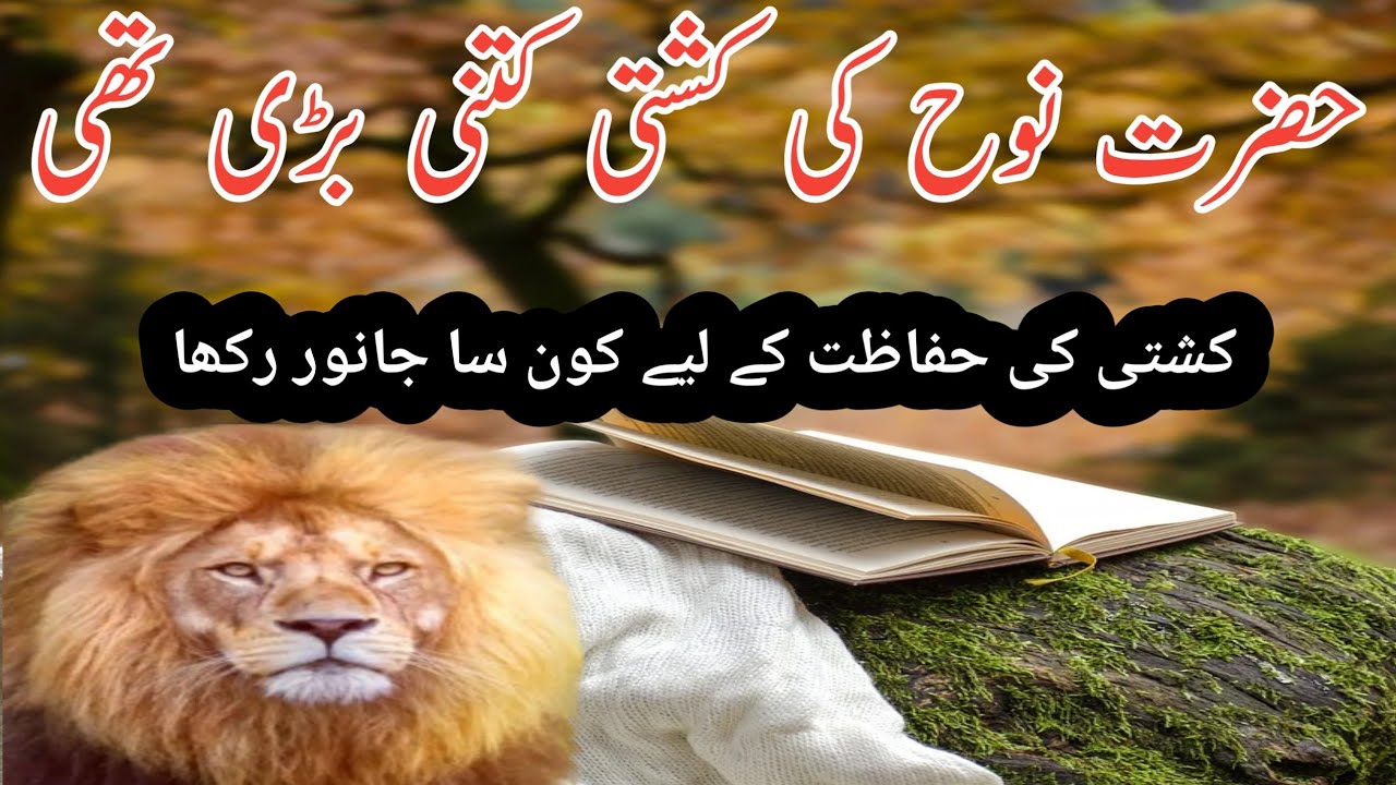 Hazrat Nuh (A.S) ki kashti ka size ktna bara tha. Ar  kashti ki hifazat kis janwar ny ki??