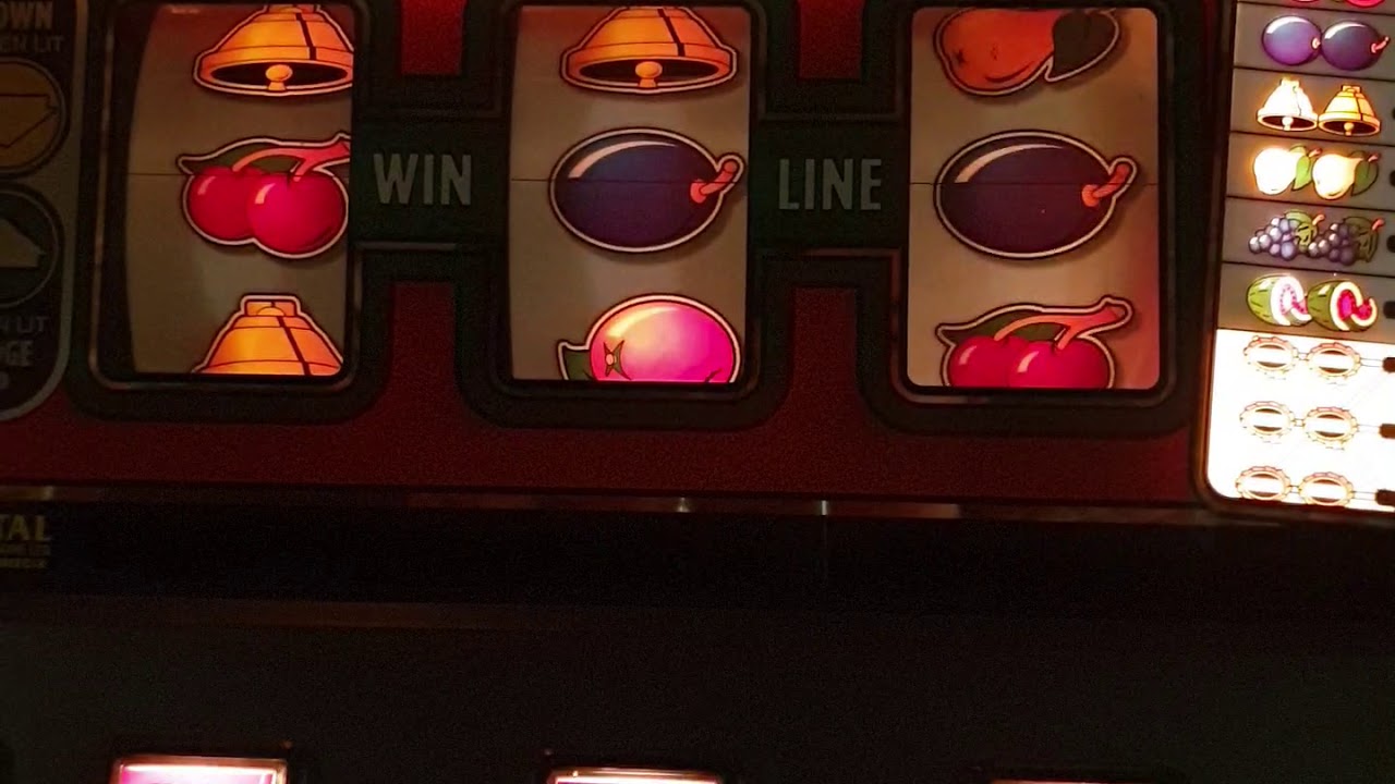 eachway nudger £5-20p