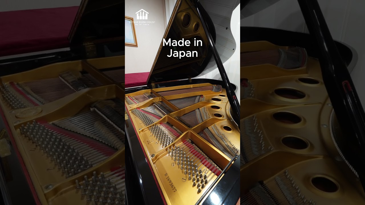 Yamaha C3B Grand Piano Made in Japan – Garansi 3 Tahun | Petrof Piano House