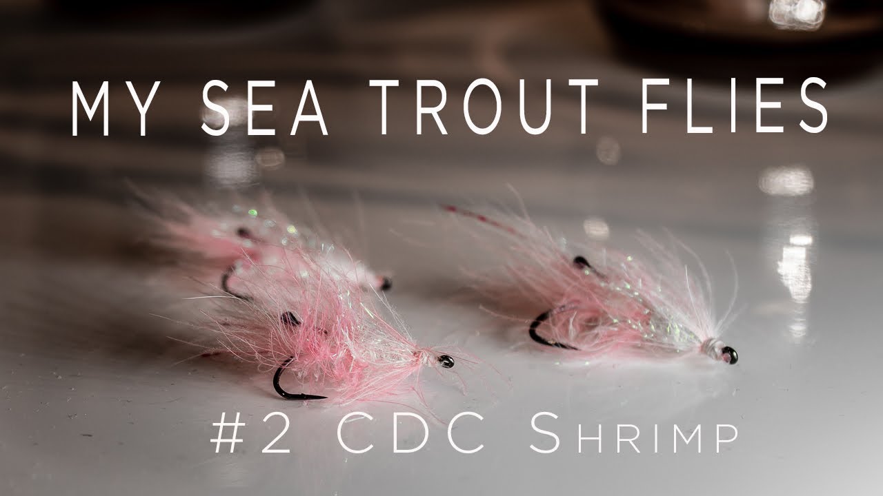 Top Flies for Sea Trout No.2  CDC Shrimp