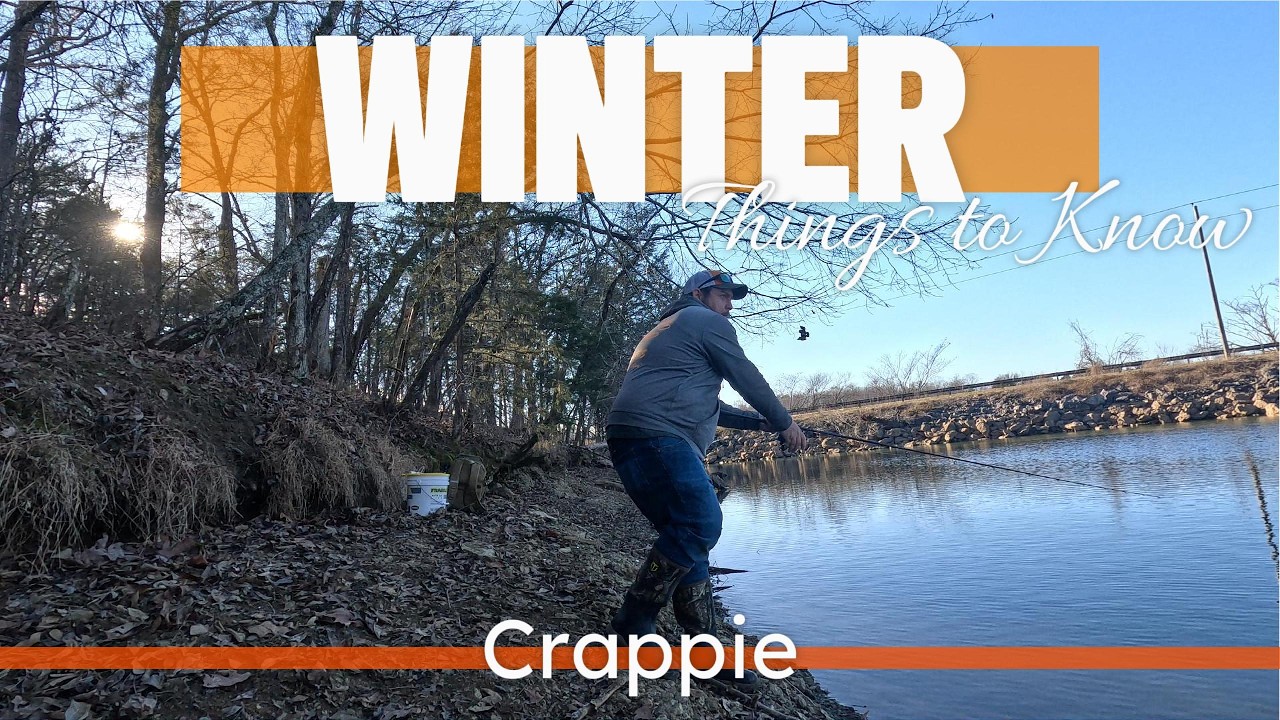 Bank Fishing for Crappie… This Spot Was Loaded