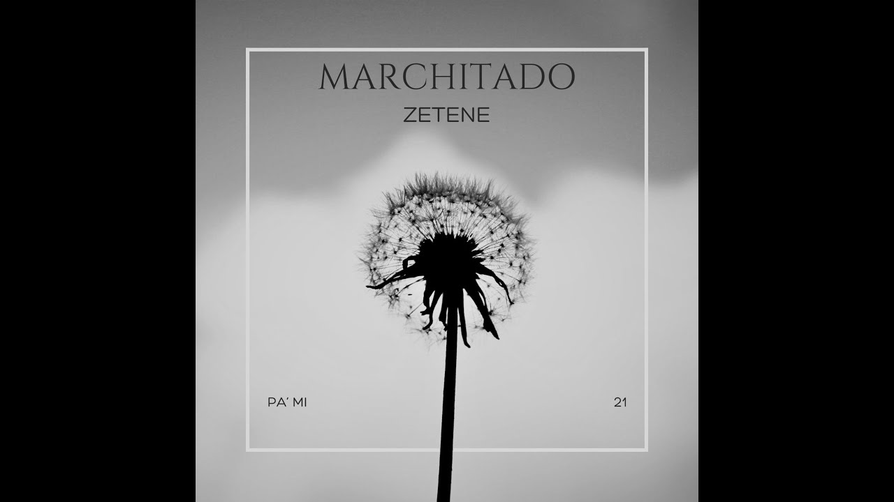 MARCHITADO - ZETENE (Official Lyrics Video)