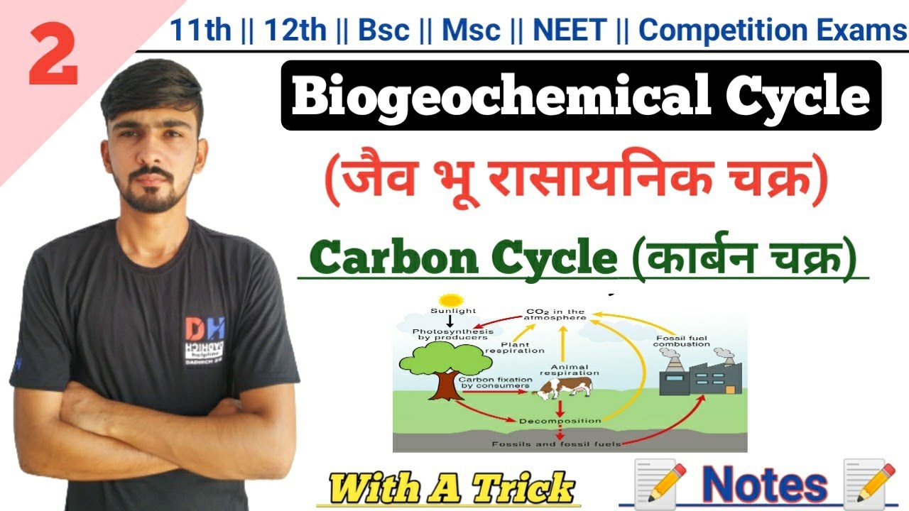 Carbon Cycle In Hindi || Biogeochemical Cycle || Environmental Biology || By Dadhich Sir