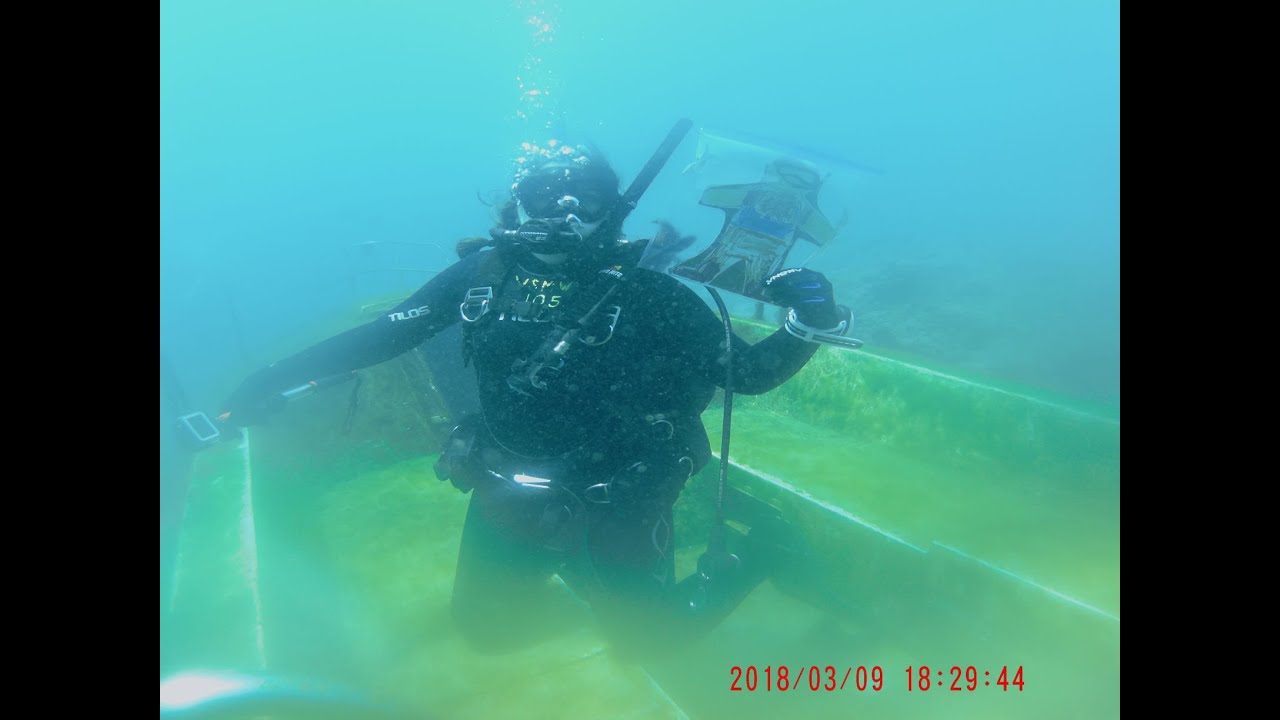 Flat Stanley Dive