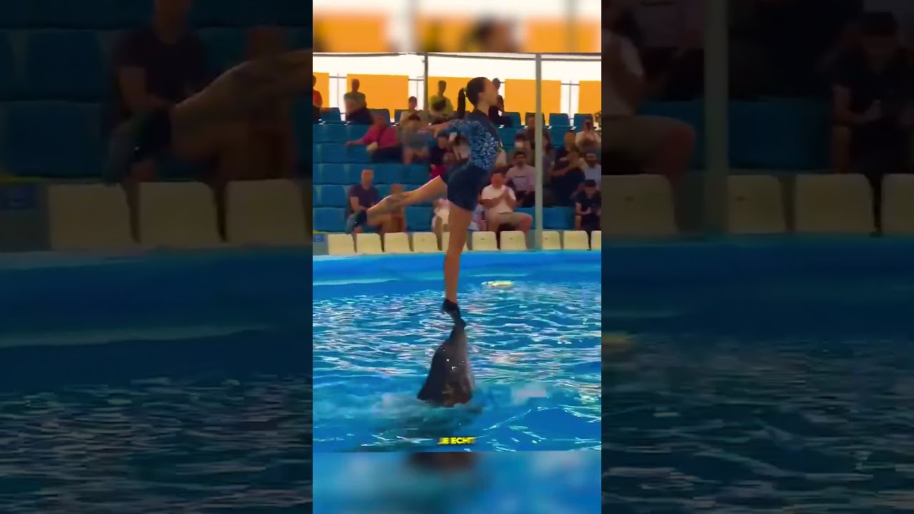 Deze Vrouw Doet Trucjes Met Een Dolfijn!🐬