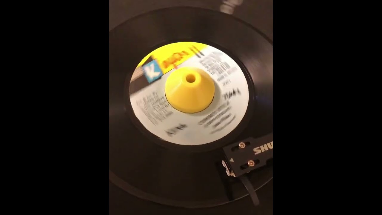 COWBOY STYLE / Josey Wales / Sleng Teng riddim