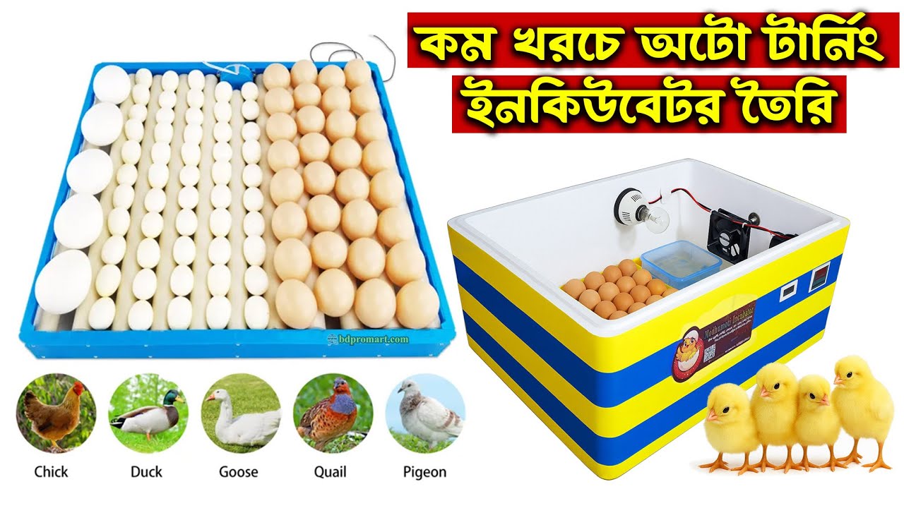 সব থেকে সহজে ও কম খরচে অটো ইনকিউবেটর তৈরি | How to Make Auto Turning  Egg Incubator with Roller Tray