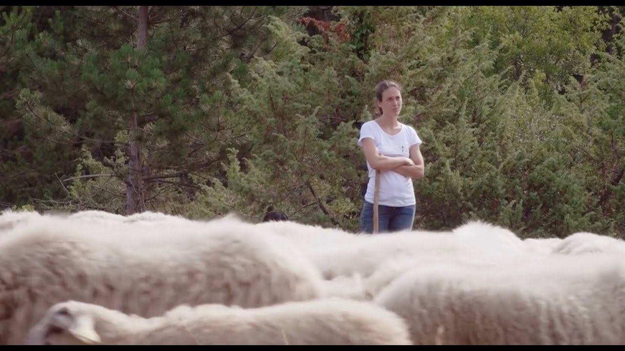 Égalité : le projet rural femme