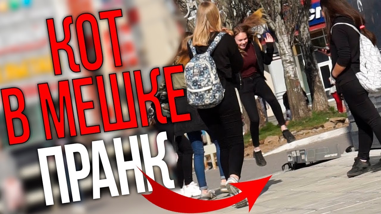 КОТ В МЕШКЕ ПРАНК