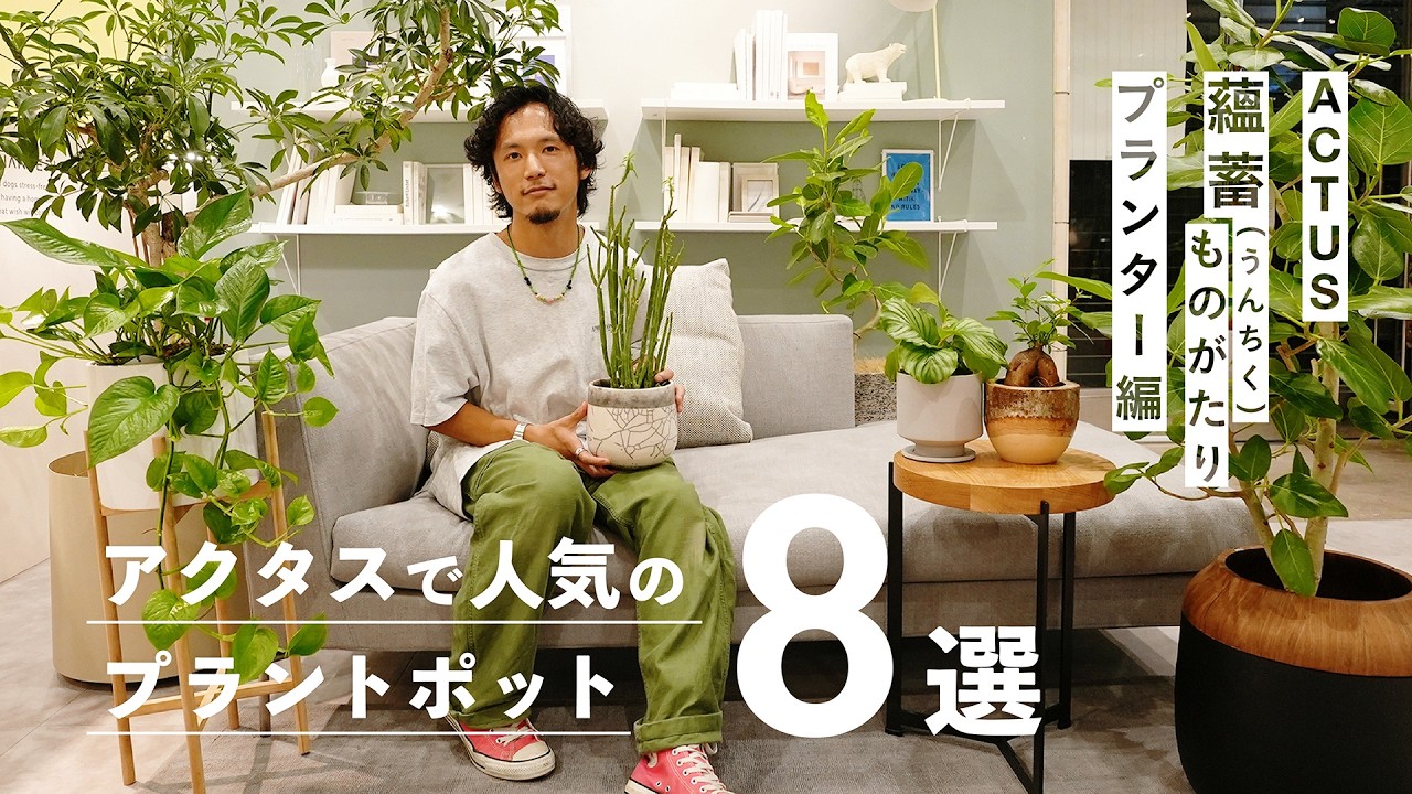 インテリアに合わせやすいACTUSで人気の植物プランター8選！