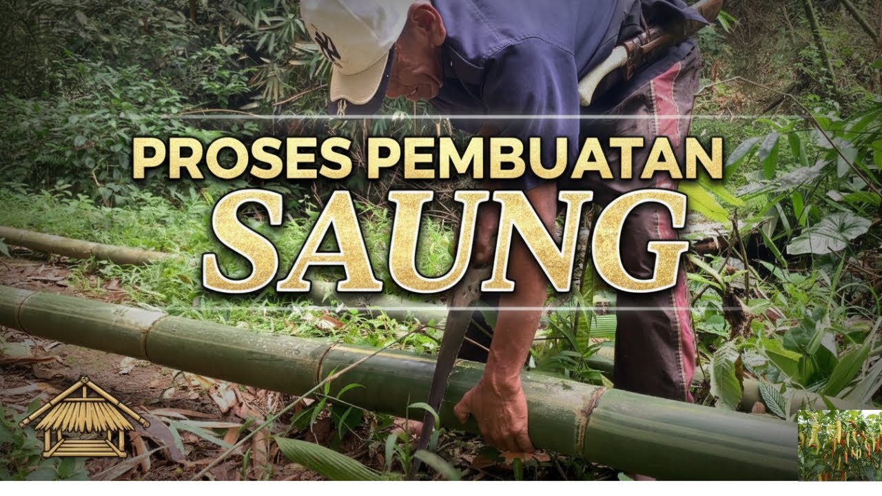 Bertahan Hidup di Hutan, Membangun Saung dari Bambu PART 6