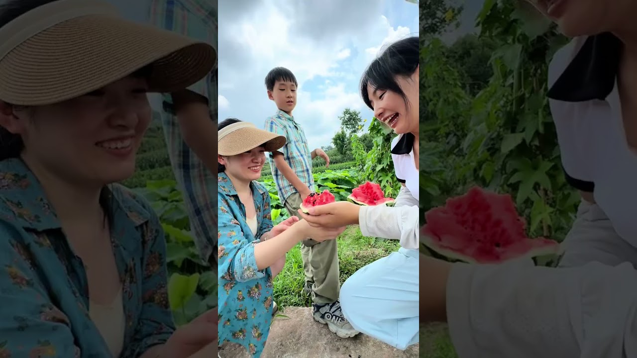 爷爷每天都像开盲盒 不知道目的地  总会有惊喜#我的乡村生活 #记录真实生活 #家乡风景 #陪伴老小 #荷花开了