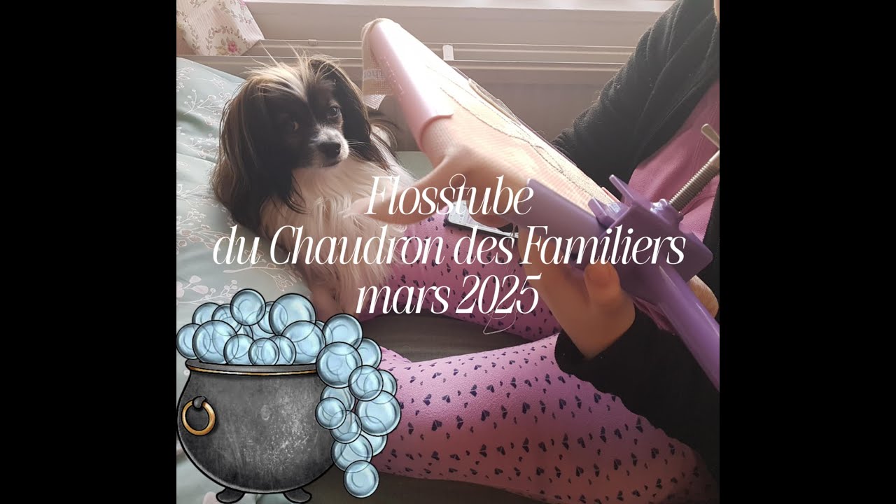 Flosstube n°4 du Chaudron des familiers - mars 2025