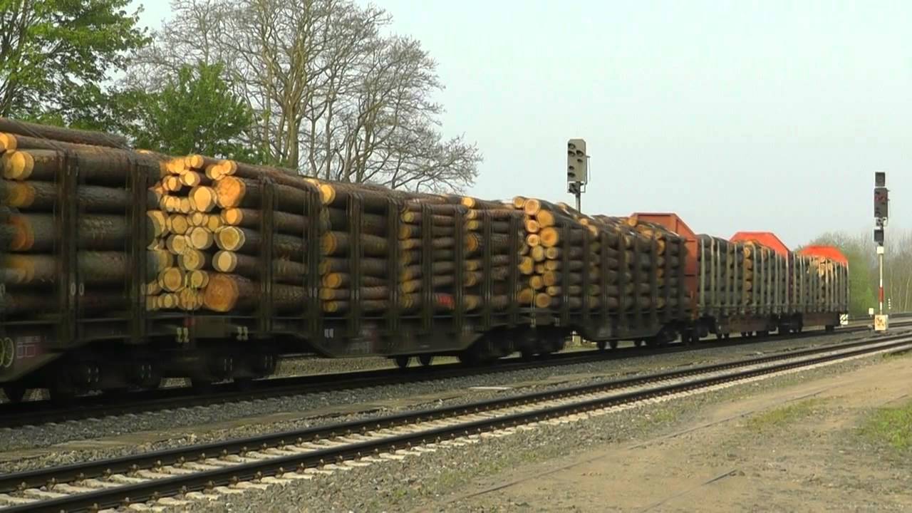 BR 225 / V200 / ICE / 225 024-9 / V200 116 / und andere