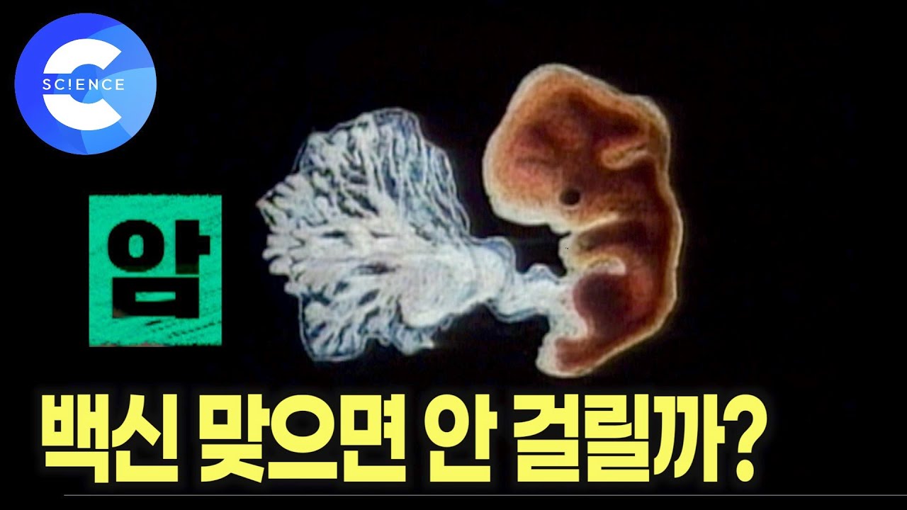 암, 예방할 수 있을까? 암세포만 파괴하는 면역세포 등장 | 암 발병 원인부터 백신 치료까지! 면역학자가 들려주는 암 이야기