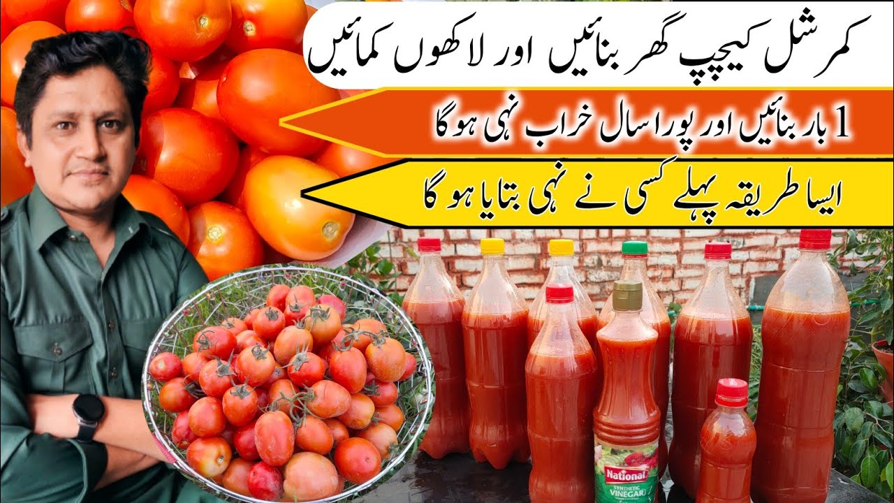 Tomato Ketchup Authentic Recipe |business idea ketchup Recipe | commercial ketchup
