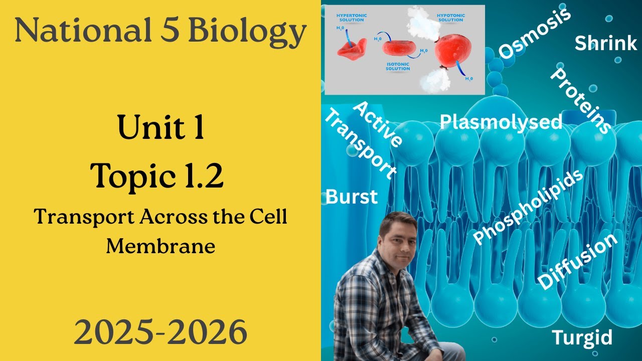 National 5 Biology: 1.2 Transport Across the Cell Membrane - Full Lesson