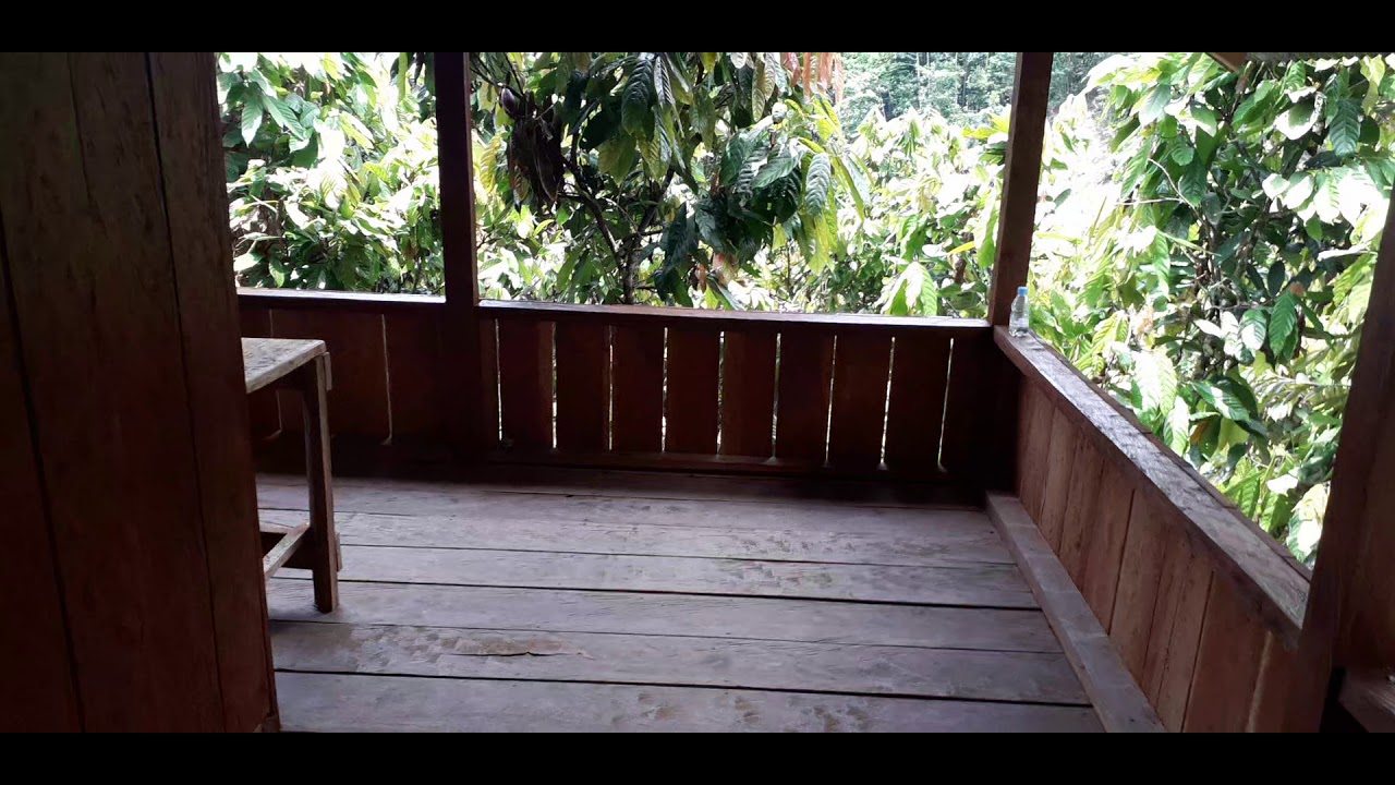 Rumah kebun minimalis , konsep villa.