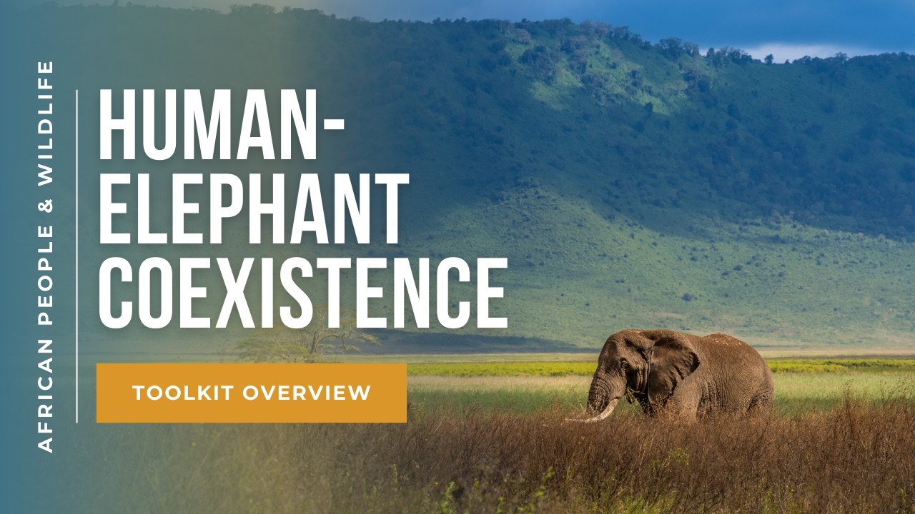 [English] Human-Elephant Coexistence Toolkits in Tanzania
