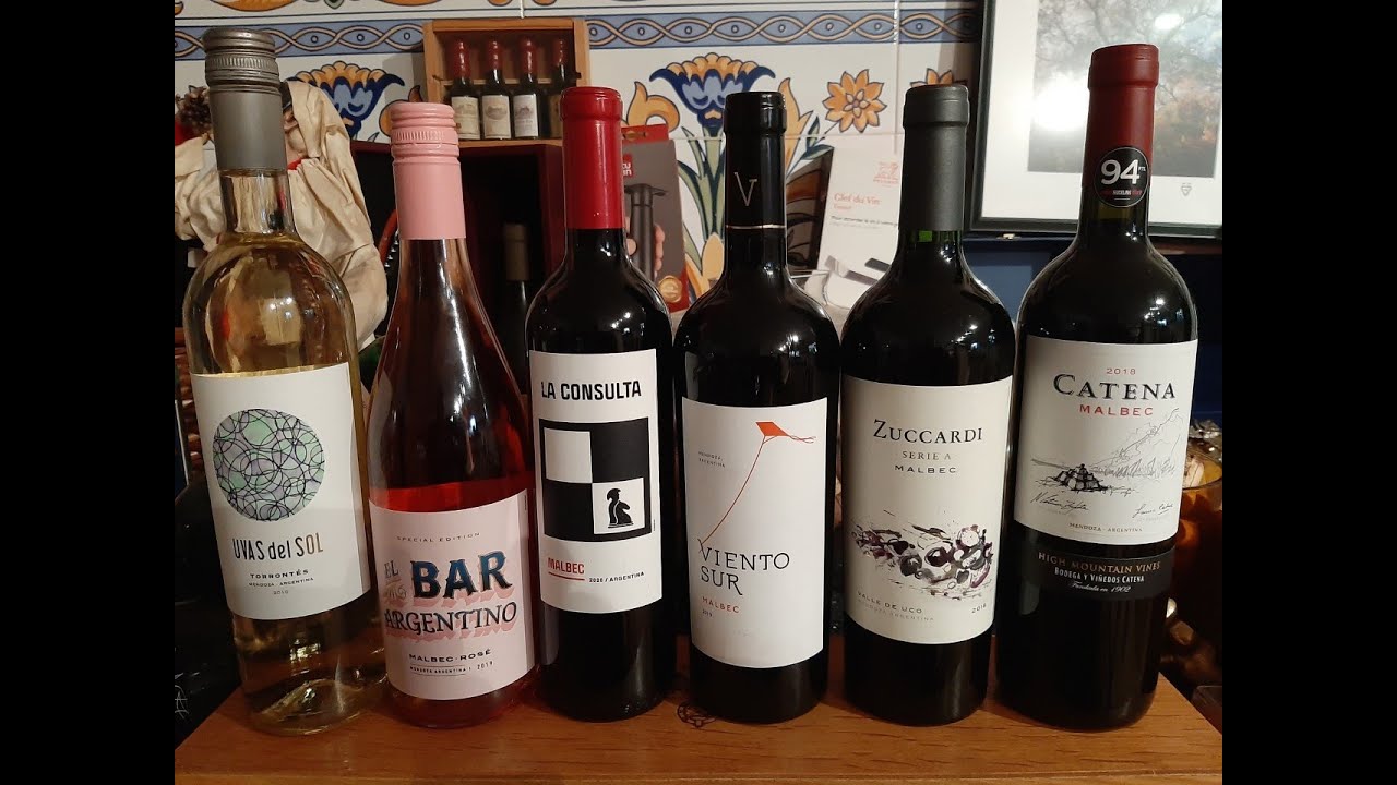 27 - Lo que debes saber del vino argentino.