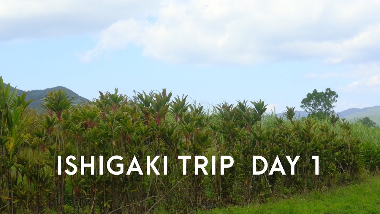 ２泊３日石垣旅行DAY１完全ガイド