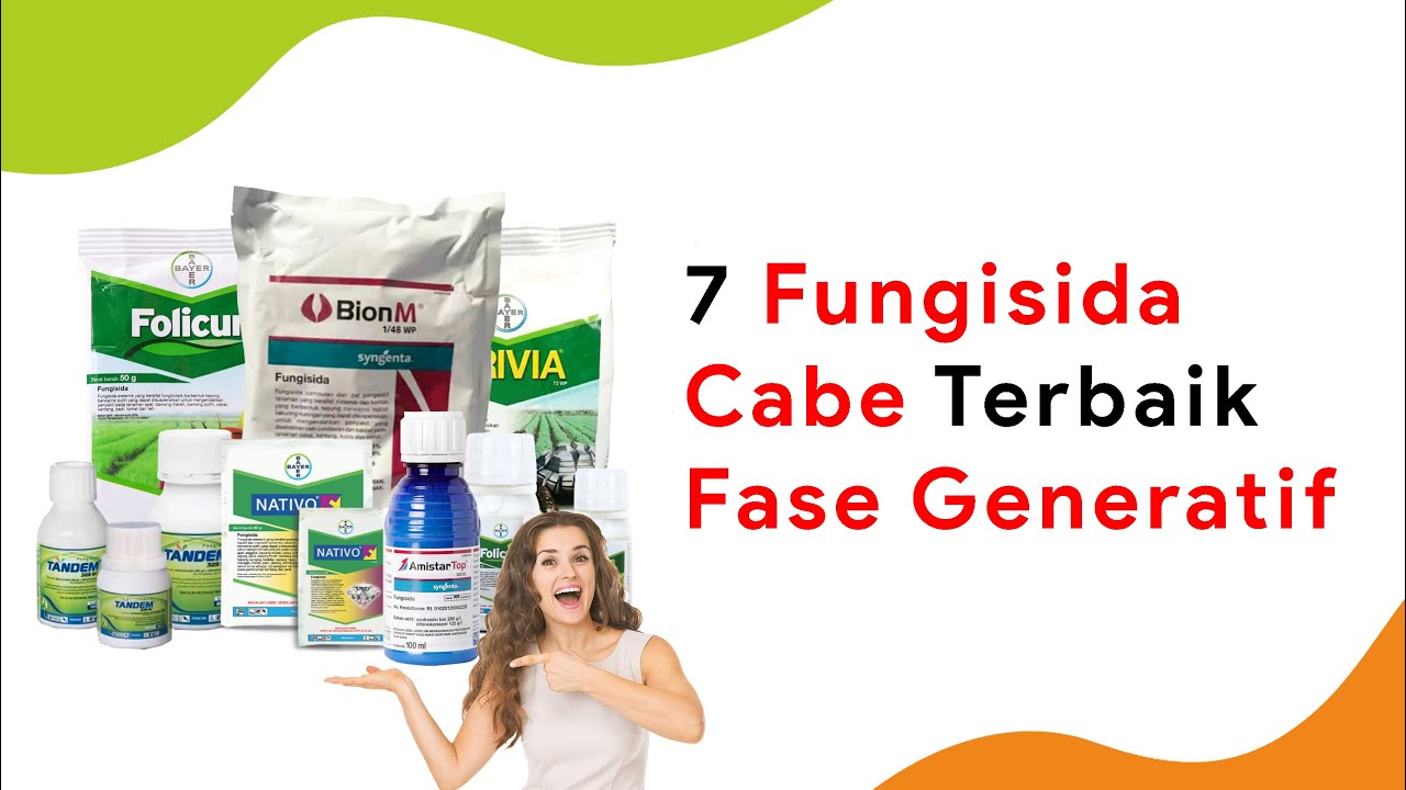 7 Fungisida Terbaik Cabe Rawit Fase Generatif Musim Hujan