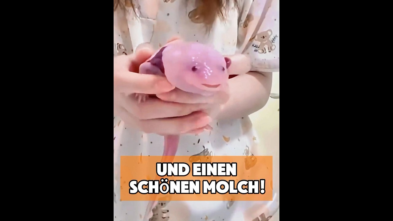 Seltsames Tier in verlassenem Teich gefunden! #tiere #tier
