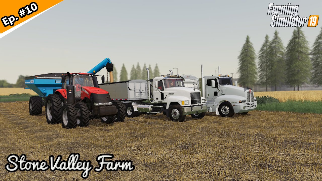 Harvest Day!| STONE VALLEY! | Timelapse #10| FS19| Seasons