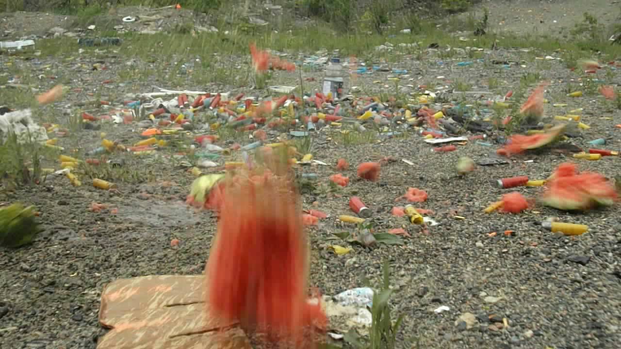 Shooting Watermelon with Shotgun - ShotgunShooter