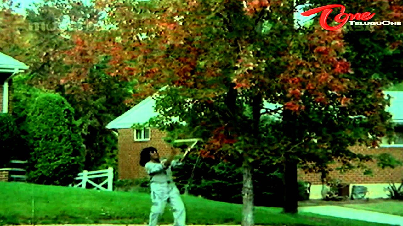 Padamati Sandhya Ragam Songs - Life Is - Vijaya Shanthi - Thomas Jane