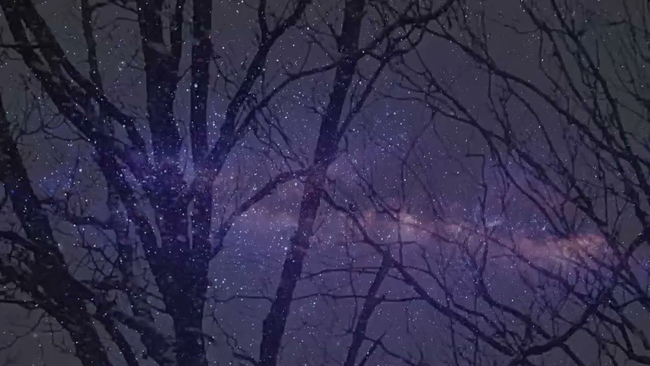 The Magic Of Snow