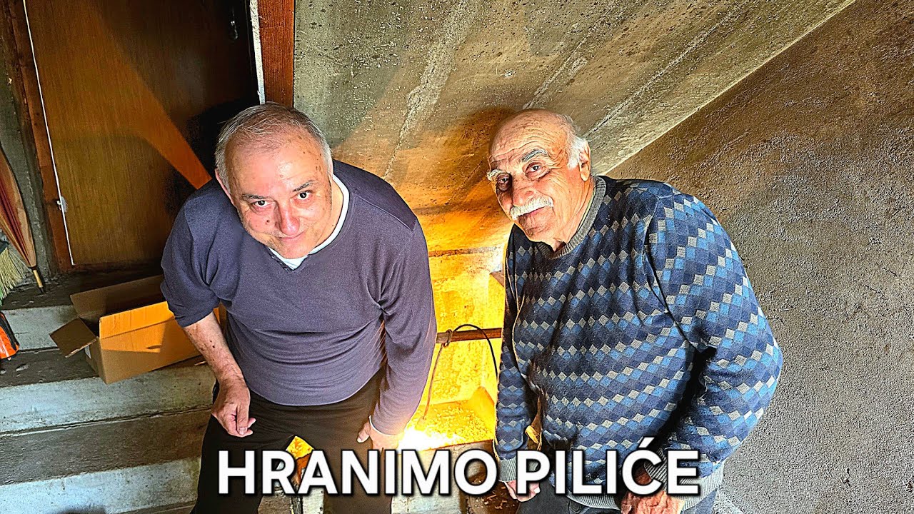 DRAGIJEVI MALI PILIĆI! *obožava ih*