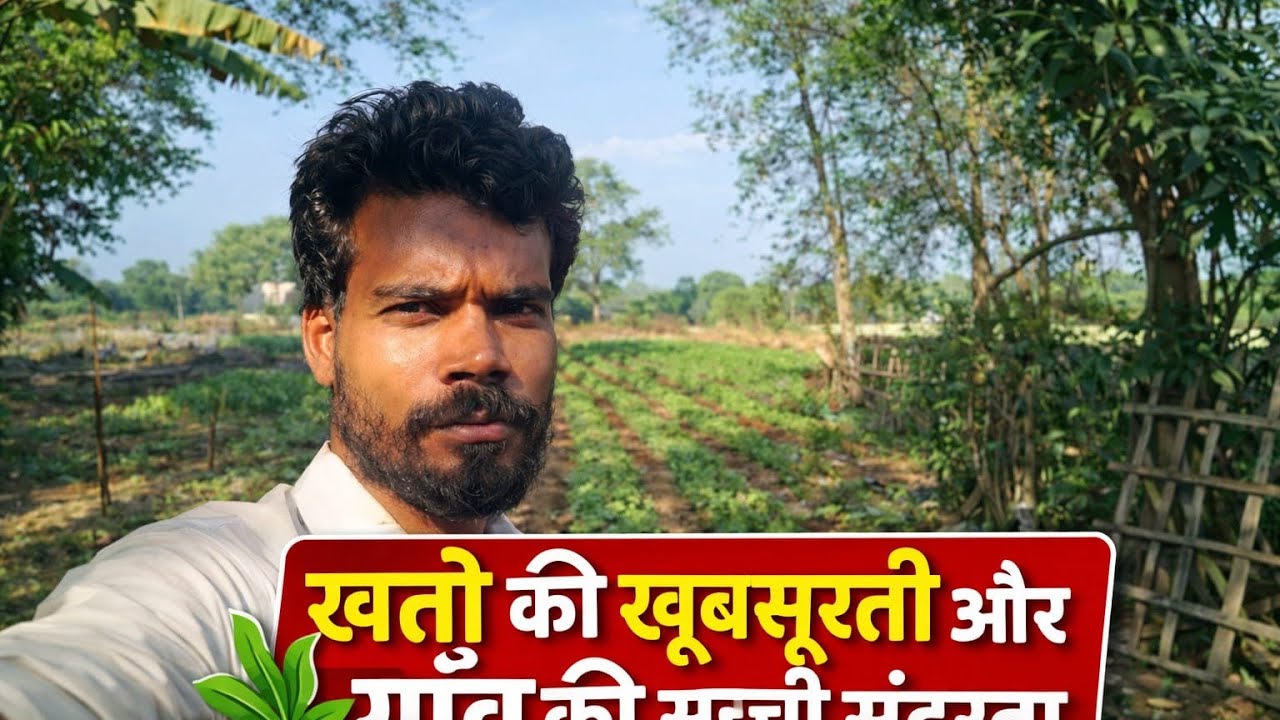 Friend Giri: आइए दिखाते हैं हमारे घर की छत से कैसेर की फसल और खेत का पूरा नजारा!