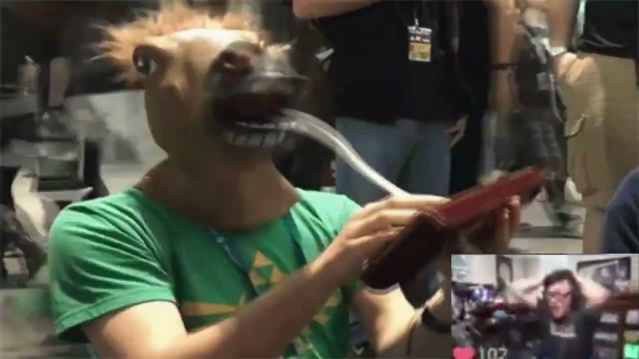 THAT HORSE HE'S OVERSTREAMING!!!