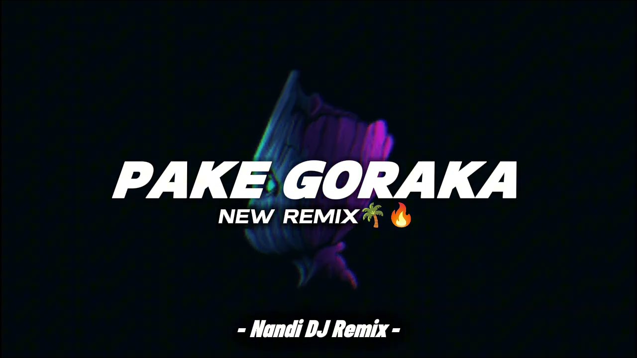 Nandi DJ - Pake Goraka ( New Remix ) New PRO !!