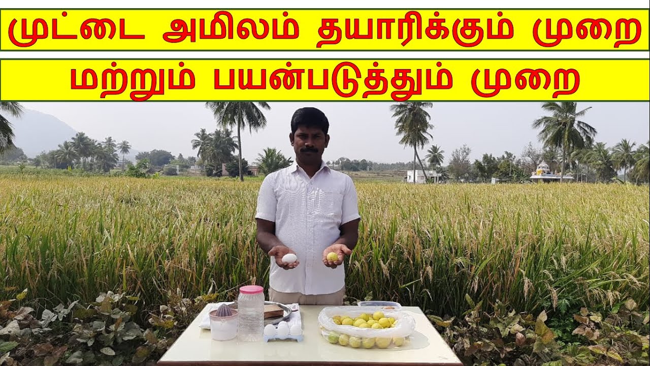 Egg acid preparation method and its uses | முட்டை அமிலம் தயாரிக்கும் முறை மற்றும் பயன்படுத்தும் முறை