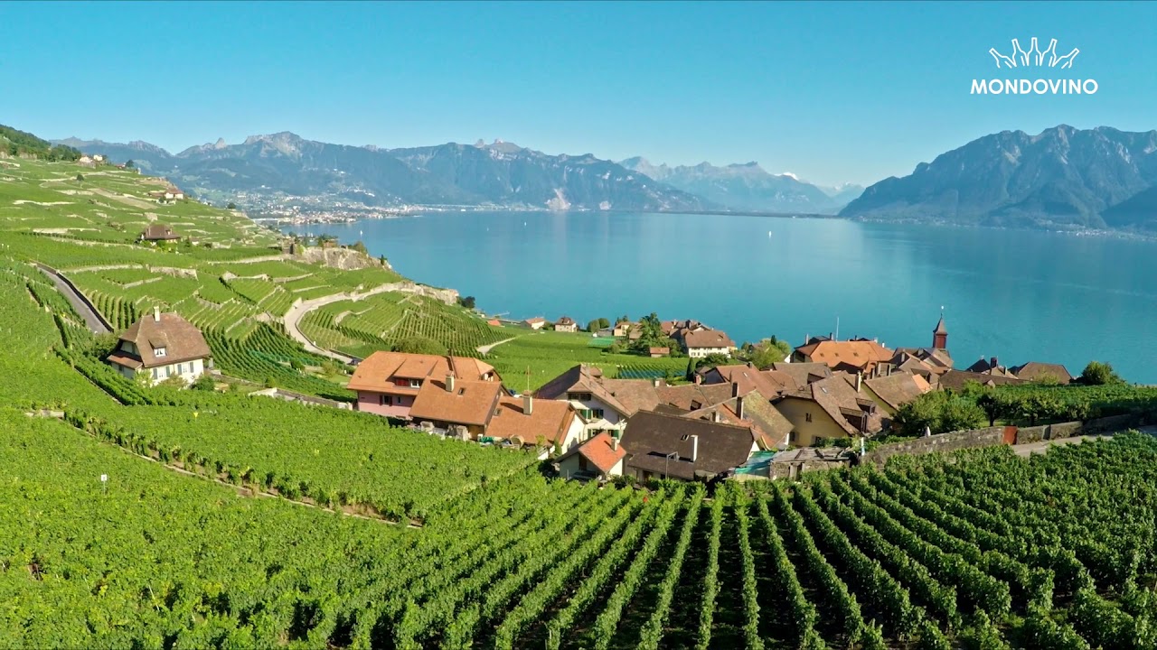 Scoprire la regione vinicola Vaud con Mondovino