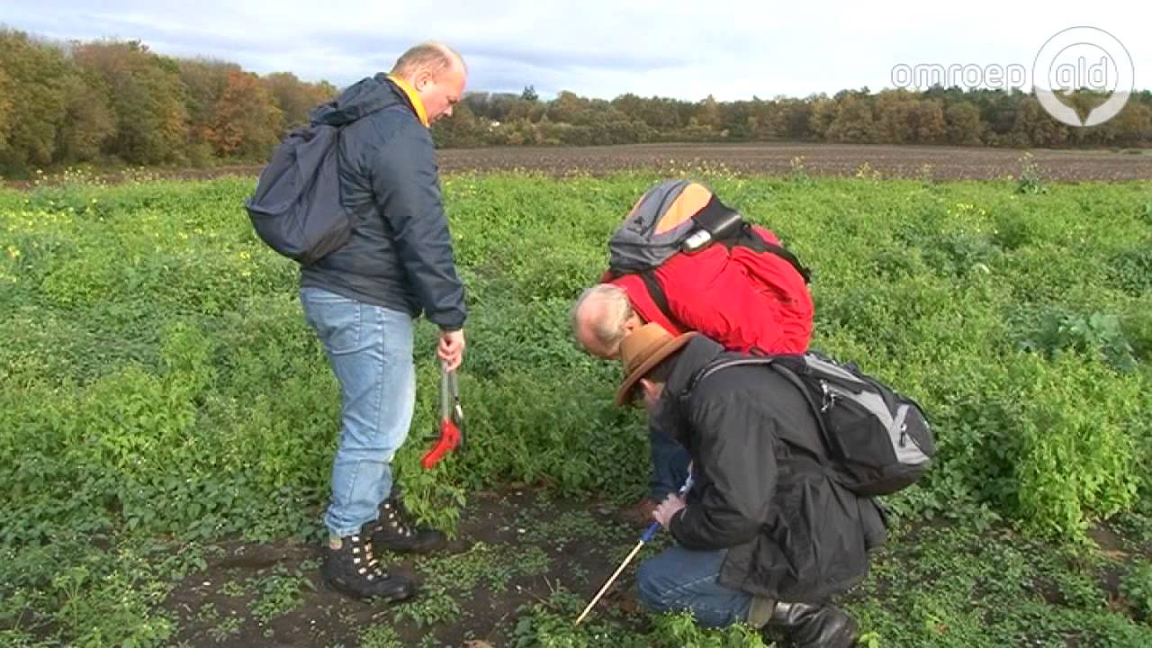 Zoeken naar meteoriet in Hoenderloo
