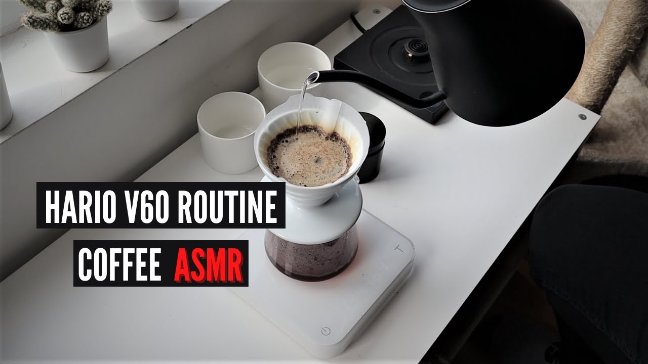 Morning Routine With Hario V60 Pour Over Method - Coffee ASMR