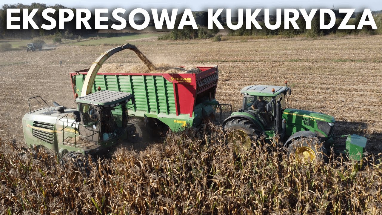 🔥EKSPRESOWA KUKURYDZA🔥 Kiszonka 2023 w Gospodarstwie Rolnym Konca | Agro Garwolin