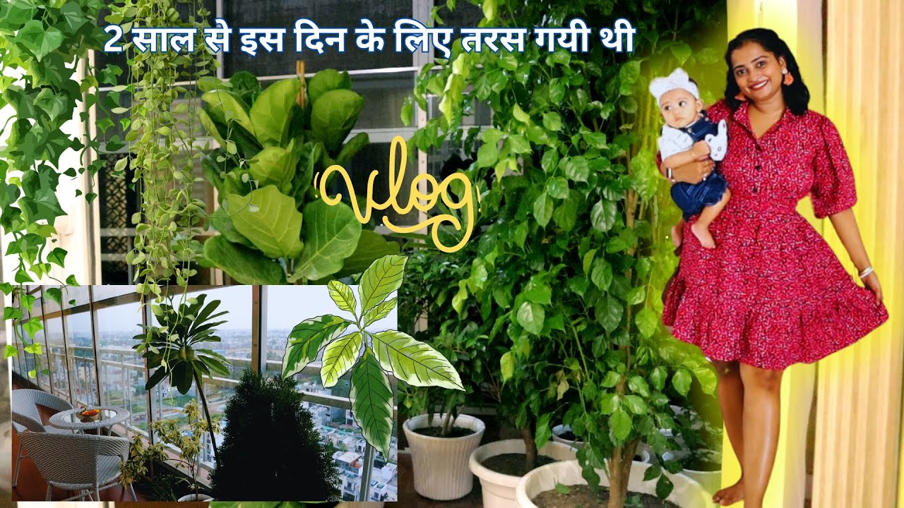 2 साल से इस दिन के लिए तरस गयी थी 🥲 Balcony में चार चाँद लग गए है 💞☘️ Indian Mom On Duty Vlog